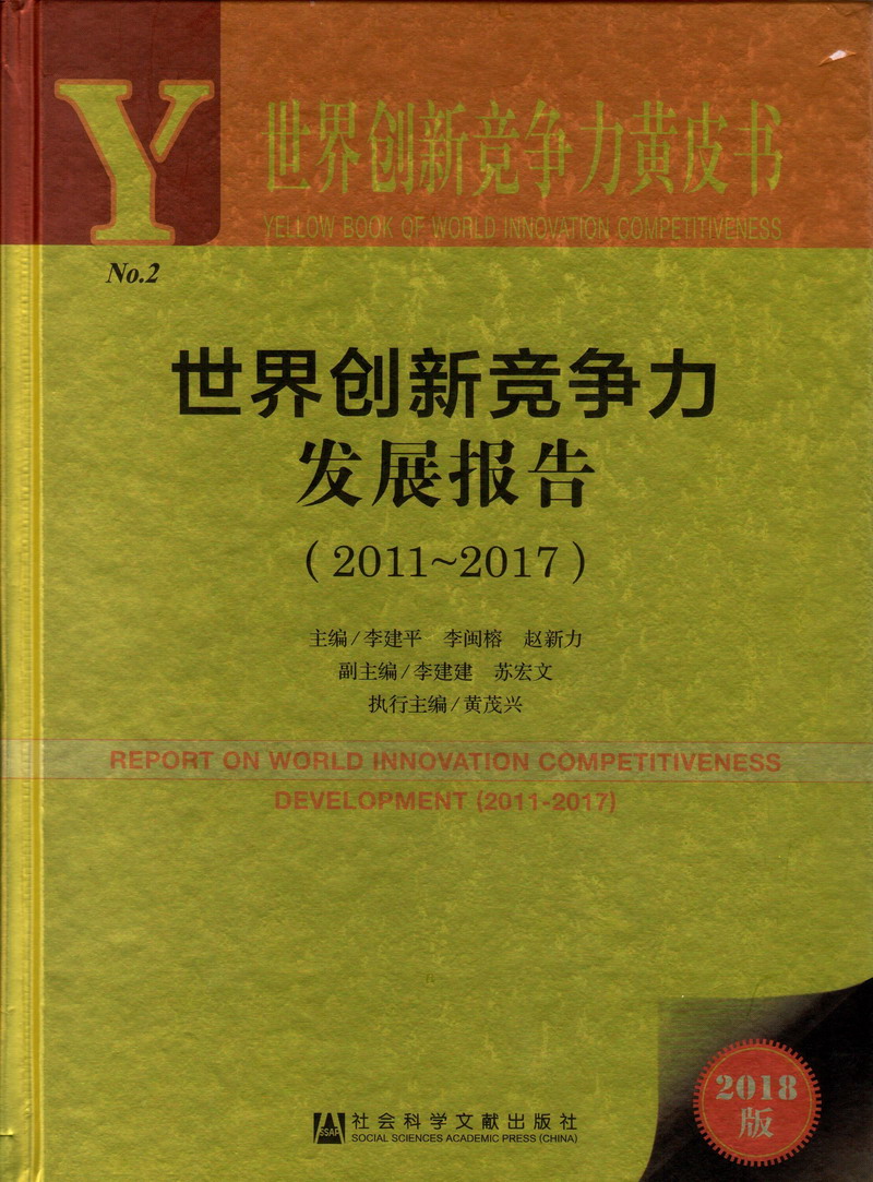 黑人巨根爆炒世界创新竞争力发展报告（2011-2017）